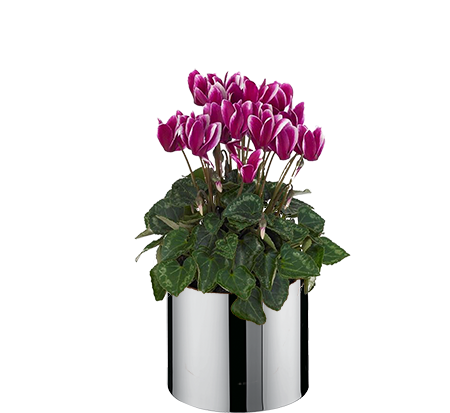 flowerpot stainless steel
